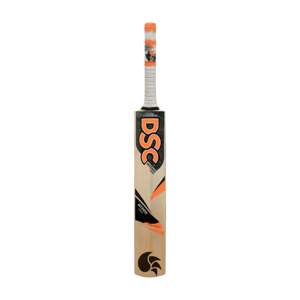 DSC Intense Crush Kashmir Willow Cricket Bat