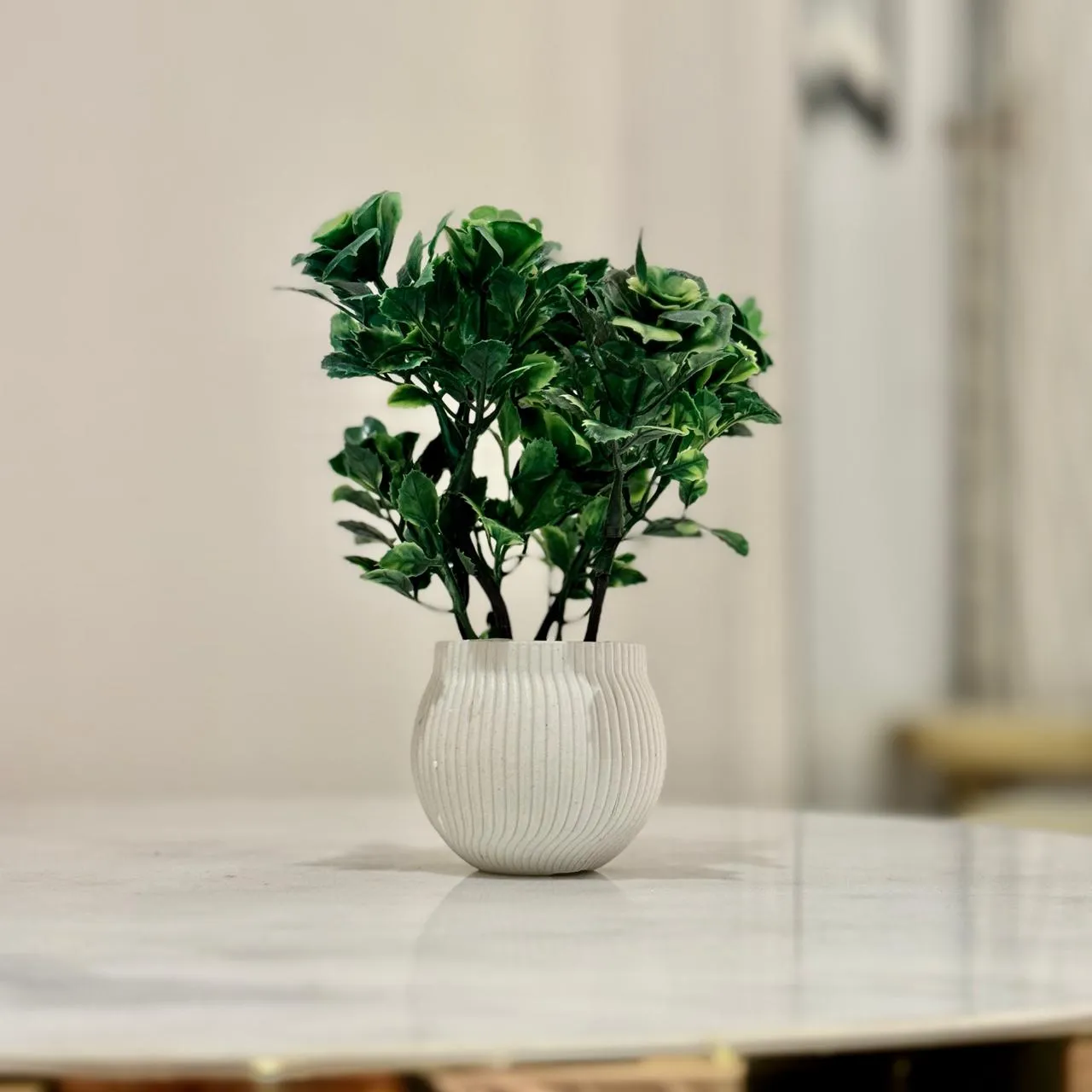 Miniature Tree planter for Home and Office Decor